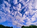 sky bluesky cloud bright trees green Royalty Free Stock Photo