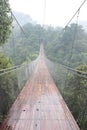 Sky bridge on the jungle sukabumi west java Royalty Free Stock Photo