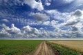 Spring sky with clouds and green field Royalty Free Stock Photo