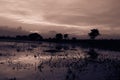 sky cloud morning reflection evening dusk dawn sunset horizon darkness sunrise sunlight sea nature tree light monochrome shore Royalty Free Stock Photo