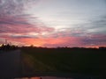 Sky, cloud, sunrise, tree, field