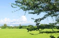 Sky ,cloud and tree or field and mountain Royalty Free Stock Photo