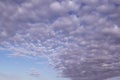 Beautiful altocumulus clouds. Sky background. Royalty Free Stock Photo