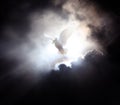 Between the sky and the clouds, the beach is a bright light and a symbolic white dove Royalty Free Stock Photo