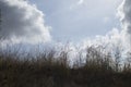 sky clouds and blue sky on grass Royalty Free Stock Photo