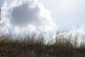 sky clouds and blue sky on grass Royalty Free Stock Photo