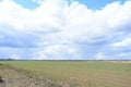 Sky, clouds. Far village and forest. A large field of young grass, boundless. Agricultural