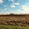 Harvest season Royalty Free Stock Photo