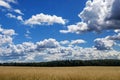 Sky clouds field forest Royalty Free Stock Photo