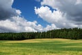 Sky clouds field forest Royalty Free Stock Photo