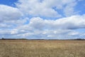 Sky, clouds. Field. Trees, shrubs, and grasses. Forest in the distance. Rural view Royalty Free Stock Photo