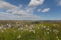 Sky with clouds, hills and cottongrass