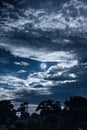 Sky with clouds and moon above silhouettes of trees. Serenity na
