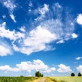 sky with clouds over cereal fields in Picardy Royalty Free Stock Photo