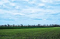 Sky with clouds over green field Royalty Free Stock Photo