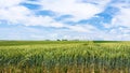 sky with clouds over green wheat field in Picardy Royalty Free Stock Photo