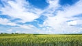 sky with clouds over wheat plantation in Picardy Royalty Free Stock Photo