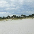 Sky Clouds Palm Trees Sand Florida