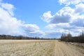 Sky, clouds. Road through a field of grass. The forest and the trees. Rural view of nature Royalty Free Stock Photo