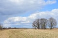 Sky, clouds. Road through a field of grass and trees. Forest. Rural view of nature Royalty Free Stock Photo