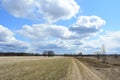 Sky, clouds. Trees in the field. Road on the grass. Forest. Rural view of nature Royalty Free Stock Photo