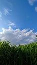 1. Sky among the clouds White clouds over green fields Royalty Free Stock Photo