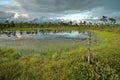 Clouds observingn over swamp in Latvia