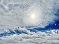 Sky Dance: Bird Soaring Amidst Sunlit Clouds