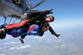 Skydive tandem two friends together Royalty Free Stock Photo