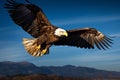 Sky dominion eagle in flight, framed against a brilliant blue