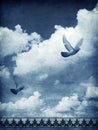 Sky and doves Royalty Free Stock Photo