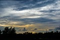 The sky is dull, cloudy during the evening after sunset. The front of the sky is a silhouette of the tree. The horizon has an