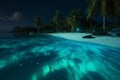 beach sky vacation night blue tree palm ocean paradise luminous tropical. Generative AI.