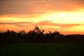 Sky, field, clouds, sunset,