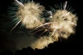 The sky is filled with feathers after an explosion of fireworks