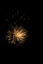 Sky fireworks burst in to the sky with golden yellow colored sparkels Royalty Free Stock Photo