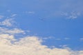 Sky flight blue geese atmosphere shoal time cloud flying weather outdoor high sunny clouds spring view nature white fly airplane Royalty Free Stock Photo
