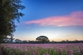 Sky flower garden in Jim Thompson Farm Nakornratchasrima, Thailand