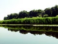 The sky, the swamp vegetation and its reflection on the surface of the pond Royalty Free Stock Photo