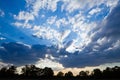 Sky and forest silhouette