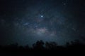 Sky full of stars and silhouettes of trees below - perfect for a wallpaper