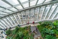 The Sky Garden at 20 Fenchurch Street, London UK Royalty Free Stock Photo