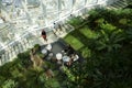 Sky Garden London filled with indoor tropical plants Royalty Free Stock Photo