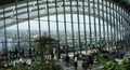 Sky Garden London filled with indoor tropical plants