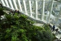 Sky Garden London filled with indoor tropical plants