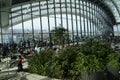 Sky Garden London filled with indoor tropical plants