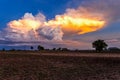 Sky, Gold Colored, Cloud - Sky, Sunset, Cloudscape Royalty Free Stock Photo