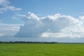 Sky and grass background, fresh green fields under the blue sky in summer Royalty Free Stock Photo