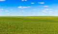 Sky and grass ground, background. Royalty Free Stock Photo