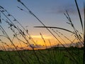 Sky, grass, sunrise South Texas plains Royalty Free Stock Photo